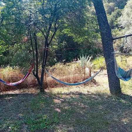 Billys Dreams * نيا سكيوني