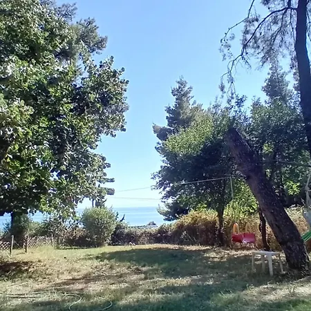 Billys Dreams * نيا سكيوني