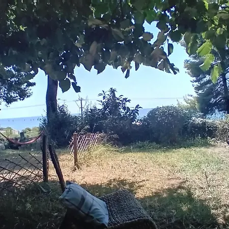 Billys Dreams Tatil Evi
