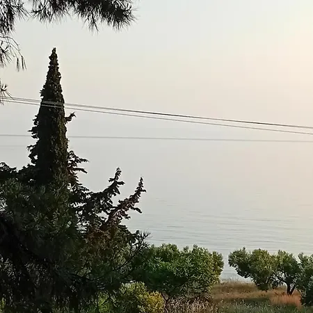 Billys Dreams Case de vacanță