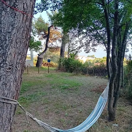 Billys Dreams * Nea Skioni