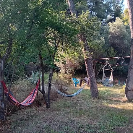 Case de vacanță Billys Dreams *