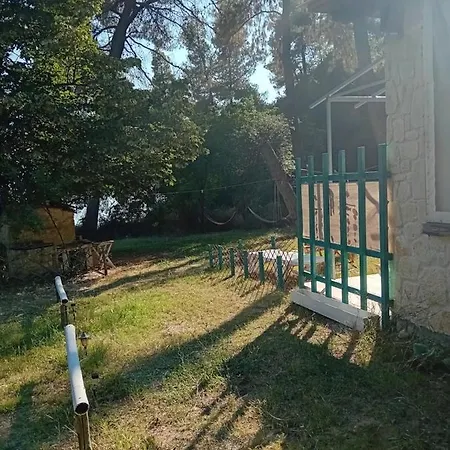 Billys Dreams Nea Skioni