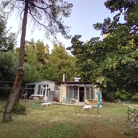 Billys Dreams Case de vacanță